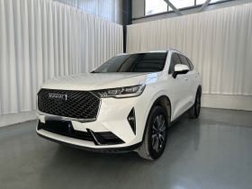 哈弗H6 2021款 第三代 1.5T 自动两驱Max