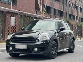 MINI Countryman 2019款 1.5T COOPER ALL4 艺术家周末旅行版