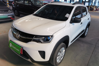 东风纳米EX1 2021款 质行版