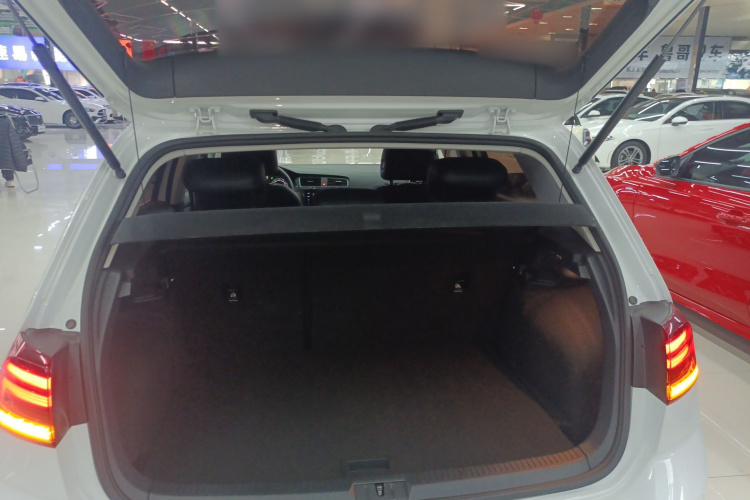 大众 高尔夫 2020款 200TSI DSG舒适进取版机舱底盘23