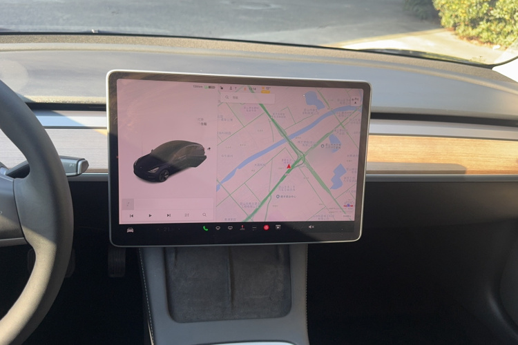 特斯拉 Model 3 2021款 标准续航后驱升级版 3D6局部细节16