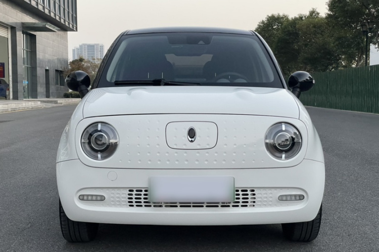 欧拉黑猫 2019款 351km 灵智版车身外观6009