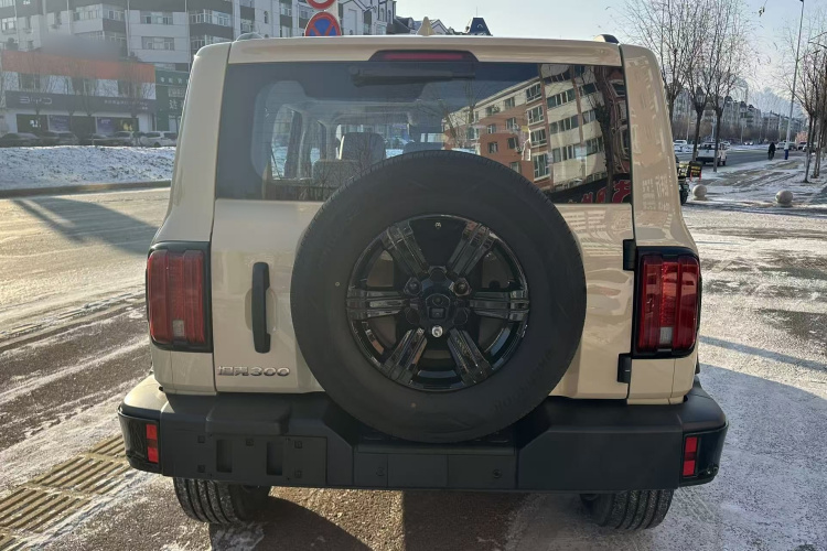 坦克300 2025款 2.4T 柴油版车身外观6004