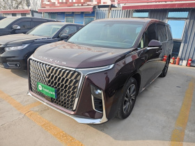 上汽大通MAXUS 大通G90 2022款 2.0T 星云七座版