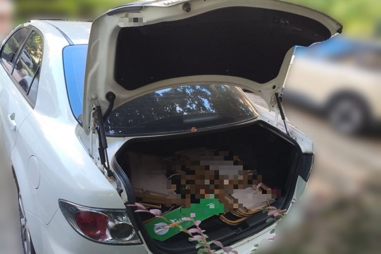 马自达6 2015款 2.0L 自动时尚型局部细节23