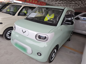 五菱汽车 宏光MINIEV 2024款 第三代 215km 青春版