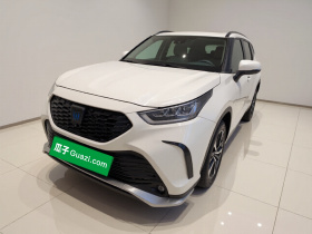 丰田 皇冠陆放 2021款 2.5L HEV四驱尊贵版