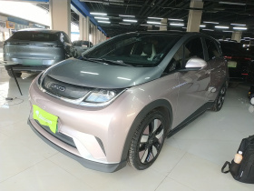 比亚迪 海豚 2021款 401km 骑士版