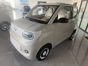 五菱汽车 宏光MINIEV 2024款 第三代 215km 青春版