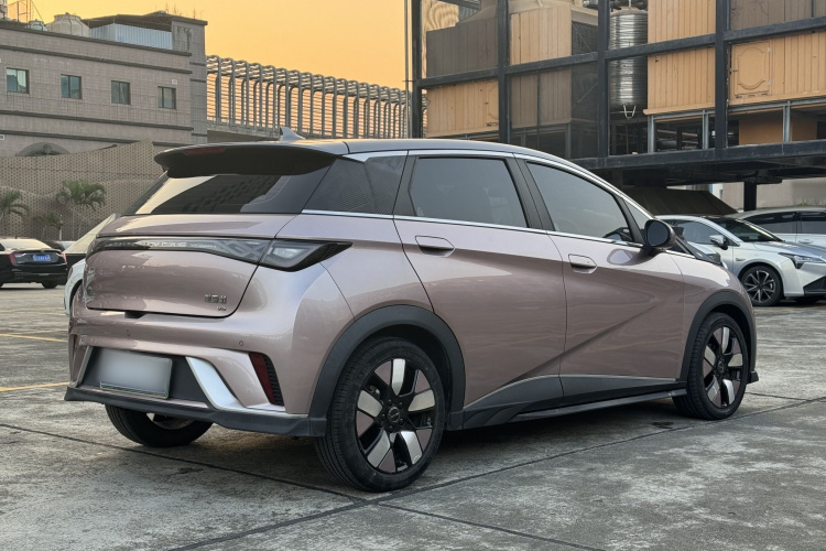 比亚迪 海豚 2021款 401km 骑士版车身外观6004