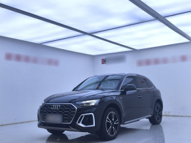 奥迪Q5L 2025款 45周年典藏版 40 TFSI 时尚动感型