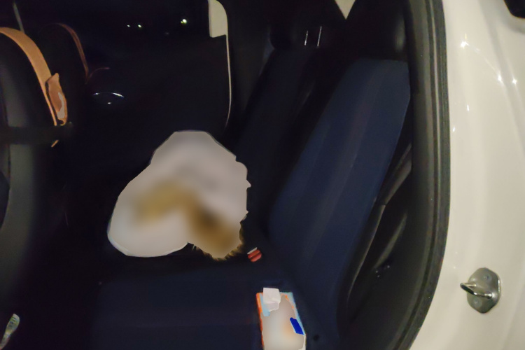 比亚迪 海鸥 2025款 305km 自由版中控内饰21