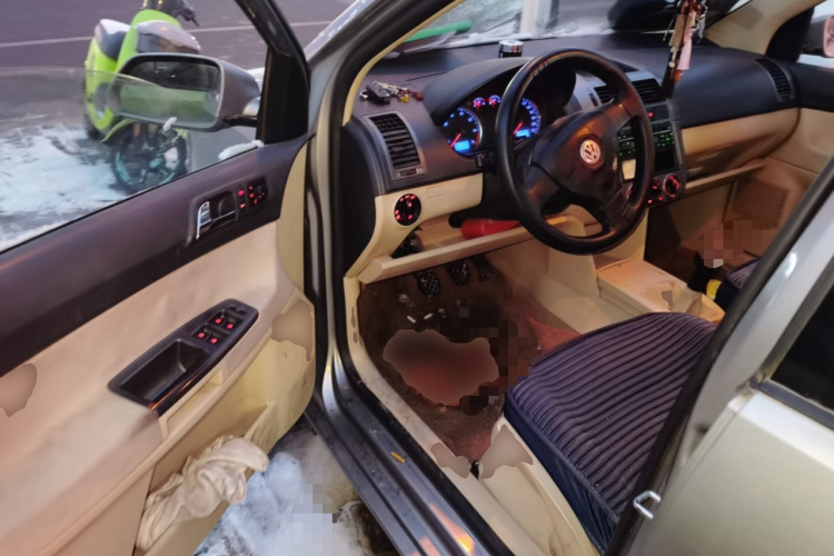 大众 Polo 2009款 劲取 1.6L 手动雅致版中控内饰20