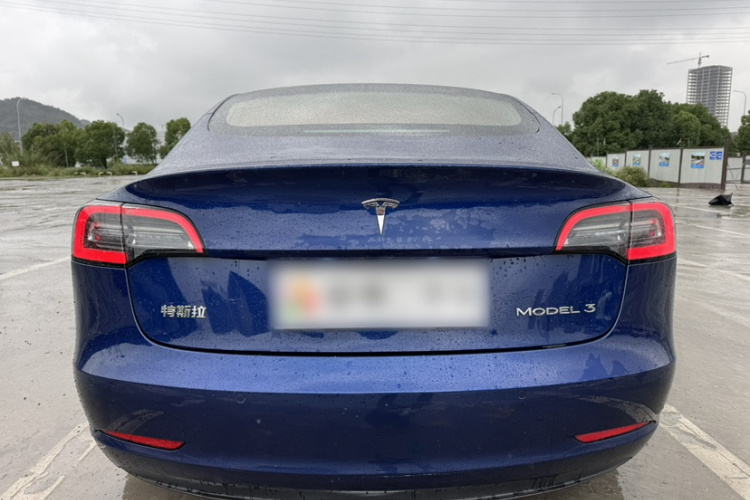 特斯拉 Model 3 2019款 标准续航后驱升级版车身外观6013