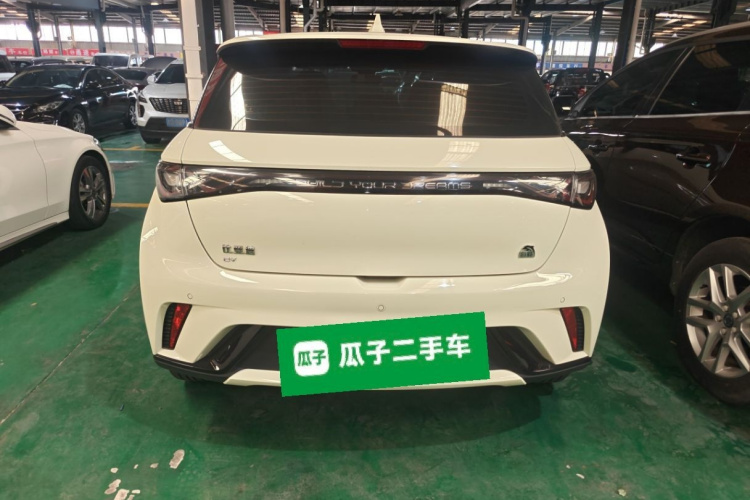 比亚迪 海豚 2021款 405km 时尚版车身外观6004