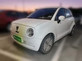 欧拉黑猫 2021款 301km 基础型