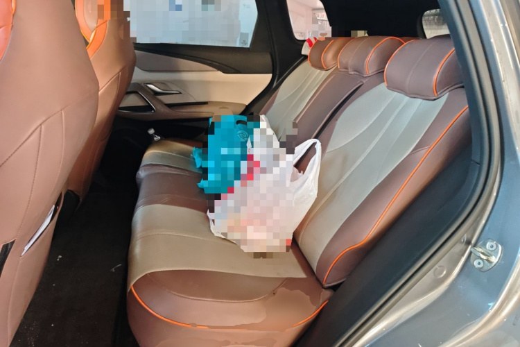 比亚迪 宋Pro新能源 2023款 冠军版 DM-i 110KM卓越型中控内饰21