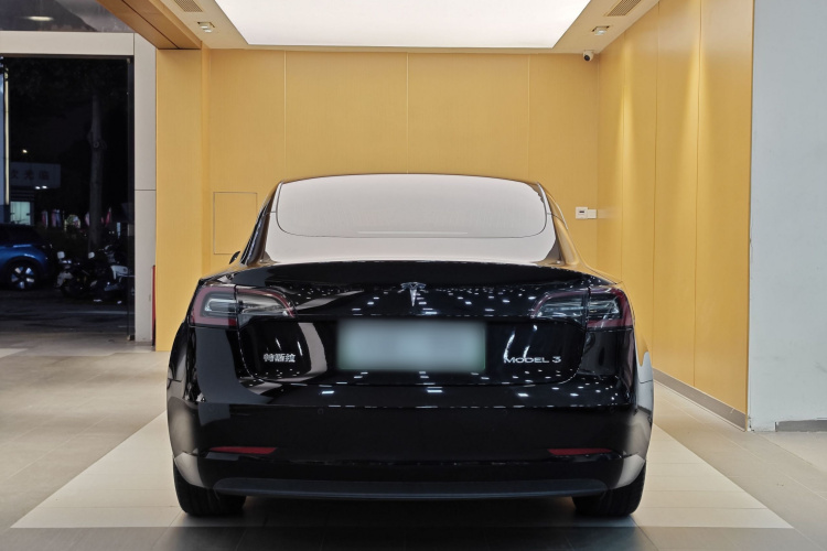 特斯拉 Model 3 2020款 标准续航后驱升级版车身外观6010