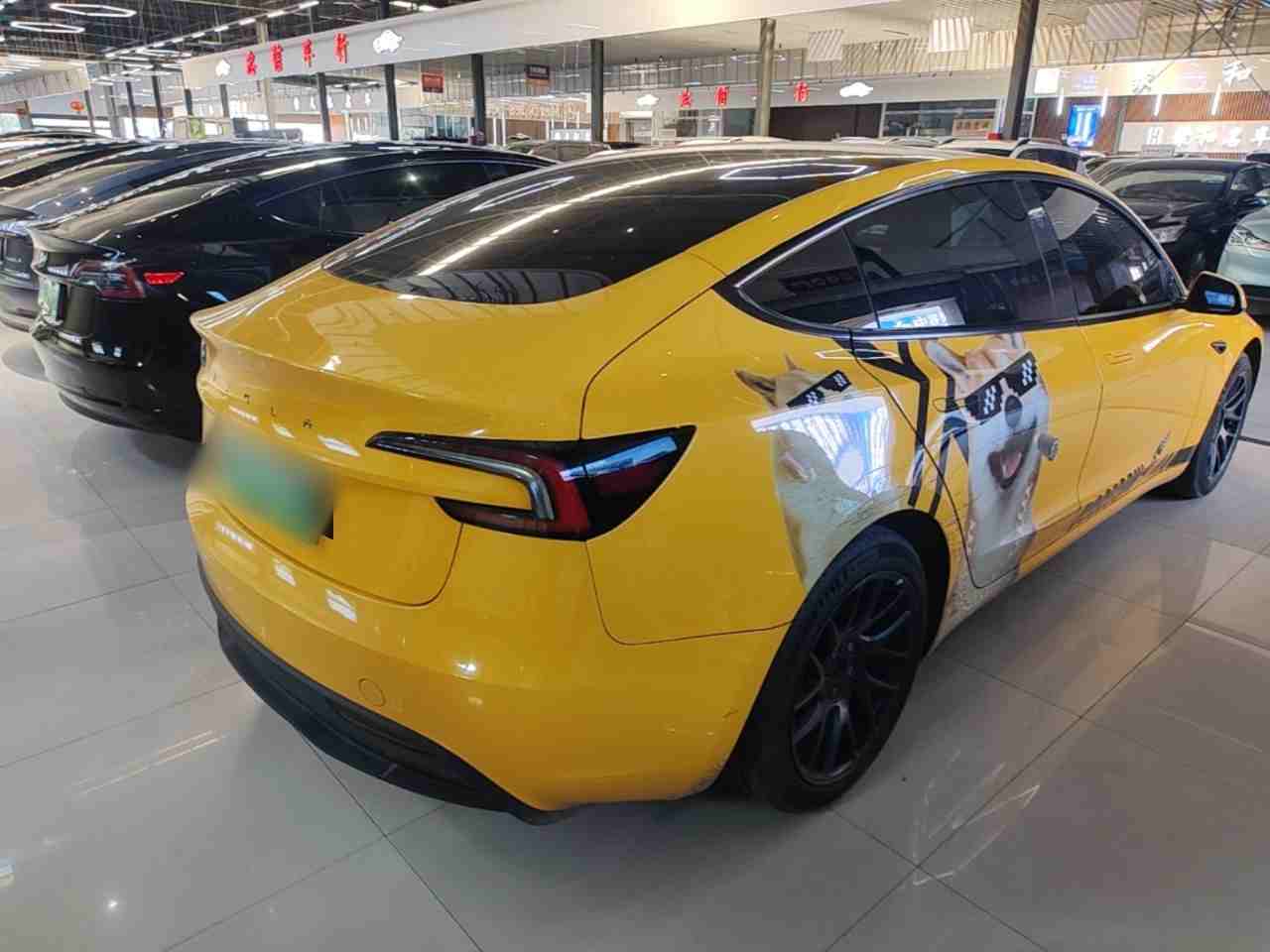 车辆右后45度视角展示