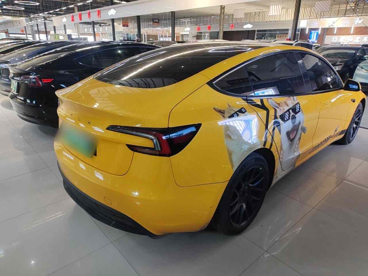 特斯拉 Model 3 2023款 后轮驱动版(5)