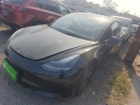 特斯拉 Model 3 2021款 标准续航后驱升级版 3D6