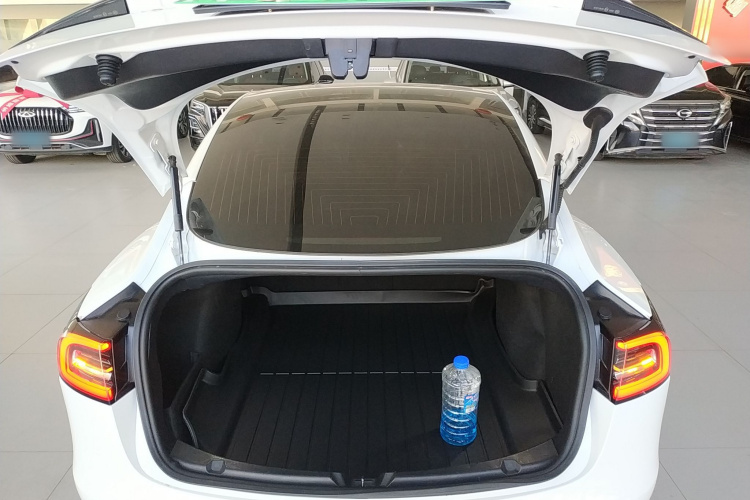 特斯拉 Model 3(进口) 2019款 标准续航后驱升级版(60度)局部细节23