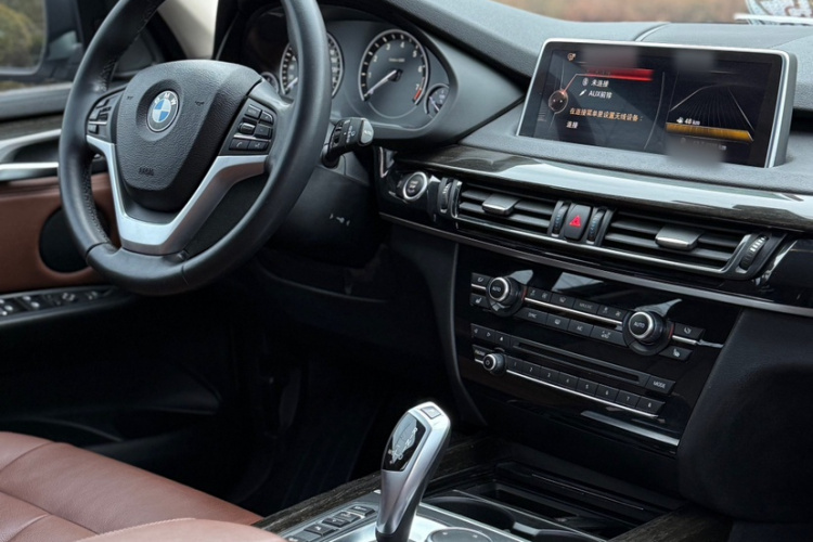 宝马X5(进口) 2014款 xDrive35i 领先型中控内饰7003