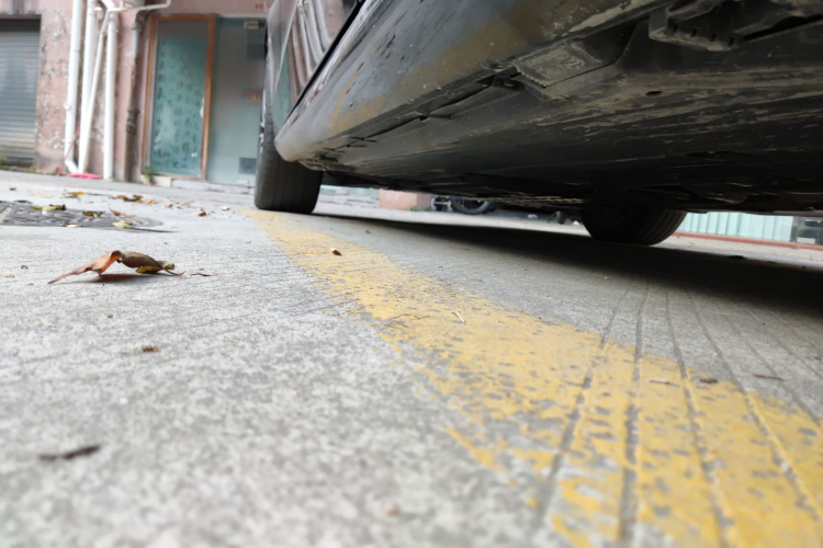 奔驰C级 2023款 改款 C 260 L局部细节9003