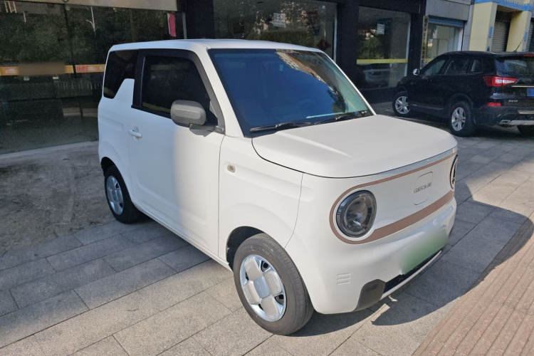 吉利银河 2023款 熊猫mini 200km 耐力熊车身外观3