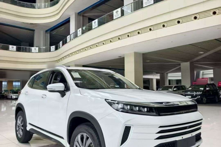 星途追风 2024款 1.5T CVT好事花生版车身外观6004