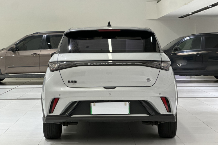 比亚迪 海豚 2021款 401km 骑士版车身外观6005