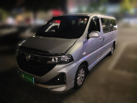 金杯海狮王 2021款 2.0L商务王系列悦享型标准顶9座1TZS