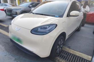 五菱汽车 五菱缤果 2025款 333km 灵犀互联款