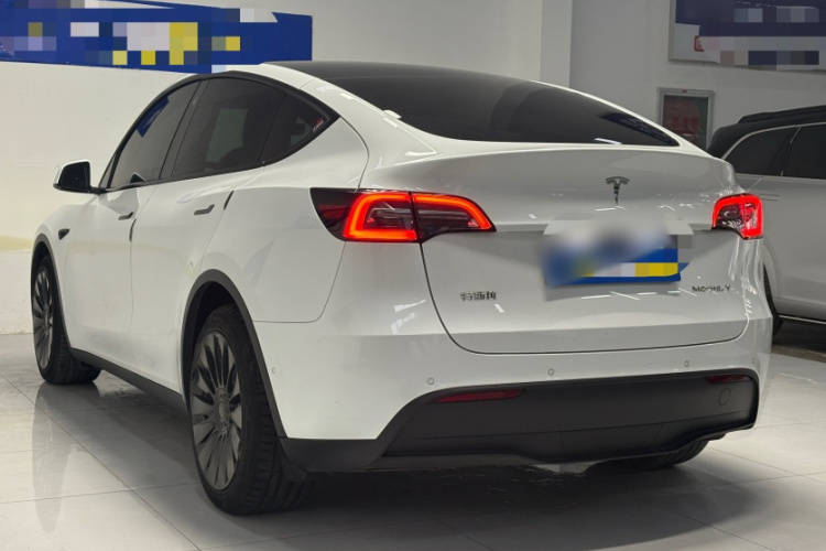 特斯拉 Model Y 2021款 长续航全轮驱动版车身外观6004