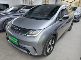 比亚迪 海豚 2023款 420km 时尚版