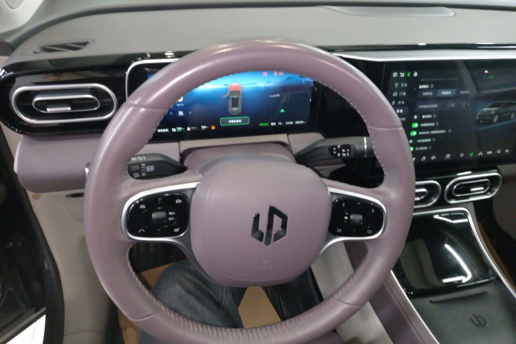 零跑汽车 零跑C11 2023款 增程 300舒享版中控内饰13