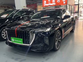 红旗H9 2024款 2.0T 旗畅 私享风尚版