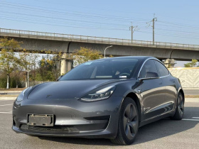 特斯拉 Model 3 2020款 标准续航后驱升级版