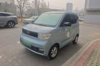 五菱汽车 宏光MINIEV 2020款 自在款 三元锂