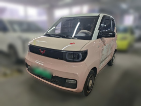 五菱汽车 宏光MINIEV 2021款 马卡龙时尚款 磷酸铁锂