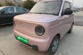 吉利银河 2024款 熊猫mini 200km 耐力熊