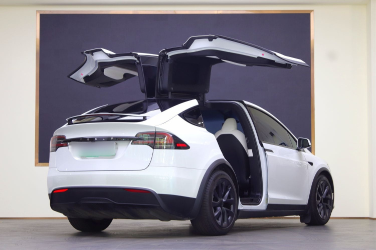 特斯拉 Model X 2023款 双电机全轮驱动版车身外观6004