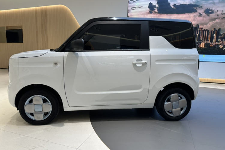 吉利银河 2024款 熊猫mini 200km 耐力熊局部细节9006