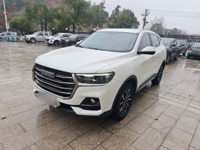 哈弗H6 2021款 国潮版 1.5T 自动都市版