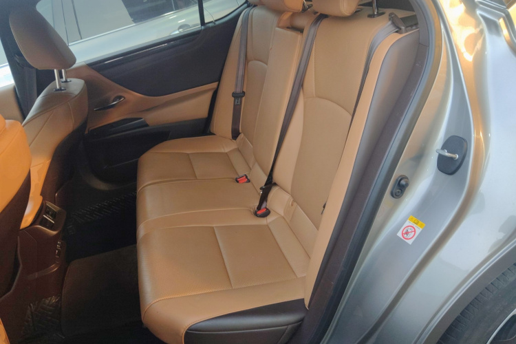 雷克萨斯ES 2018款 300h 卓越版 国V中控内饰21