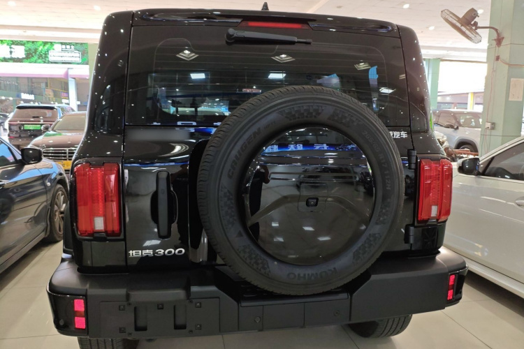 坦克300 2024款 2.0T 征服者车身外观6