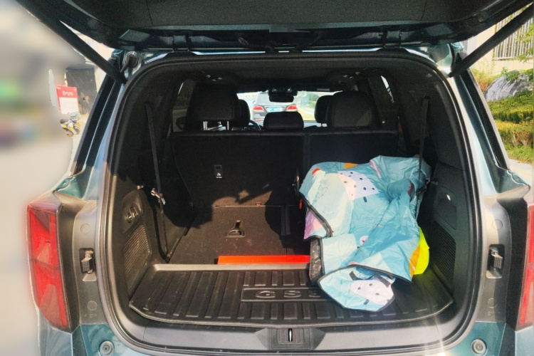 广汽传祺 传祺GS8 2022款 领航系列 2.0TGDI 两驱尊享版（七座）中控内饰23