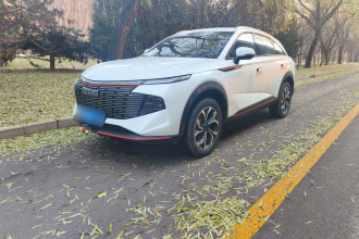 哈弗神兽 2023款 1.5T 智享版