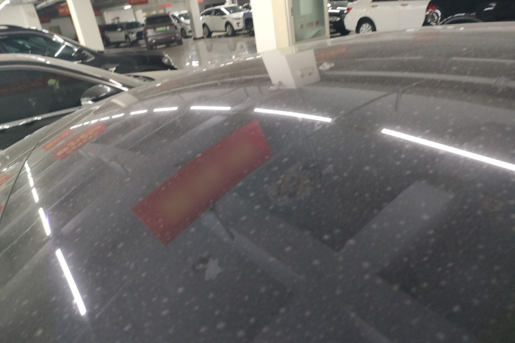 特斯拉 Model 3(进口) 2019款 长续航全轮驱动版局部细节57