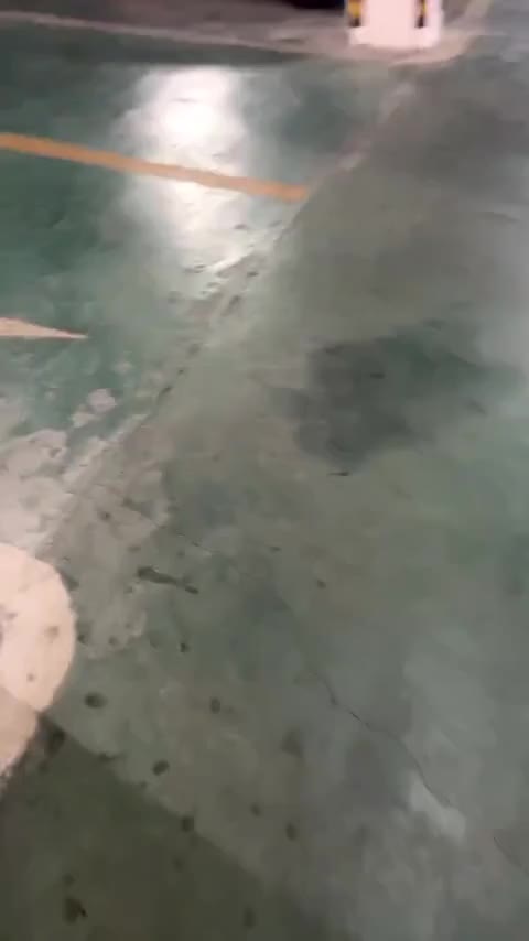 福特 福克斯 2020款 三厢 EcoBoost 180 自动ST Line讲解2